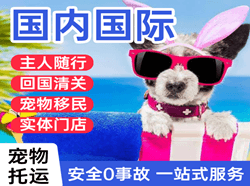 深圳机场物流国际宠物托运 【国